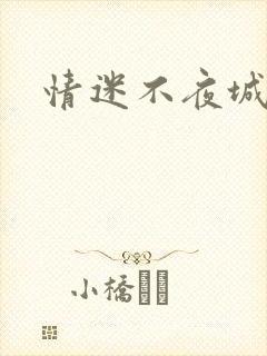 情迷不夜城