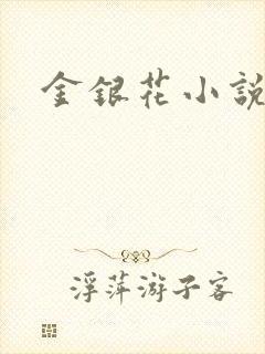 金银花小说乐可
