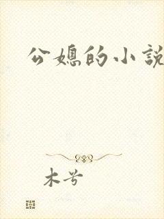 公媳的小说封面
