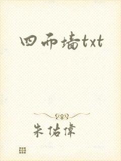 四面墙txt封面