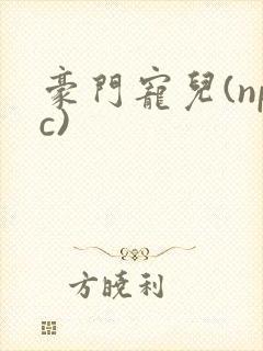 豪门宠儿(npc)