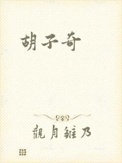 胡子奇封面