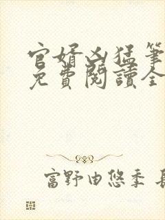 官婿凶猛笔趣阁免费阅读全文封面
