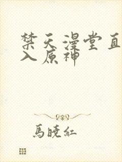 禁天漫堂直接进入原神