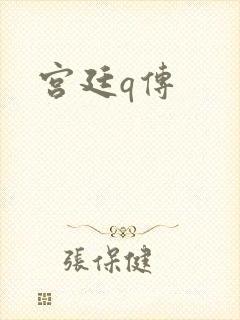 宫廷q传
