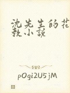 沈先生的花式管教小说