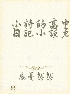 小诗的高中成长日记小说免费阅读