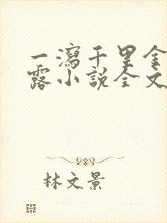 一泻千里金银花露小说全文免费阅读