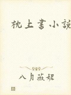 枕上书小说封面