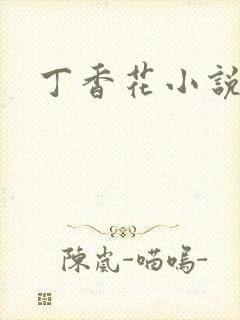 丁香花小说