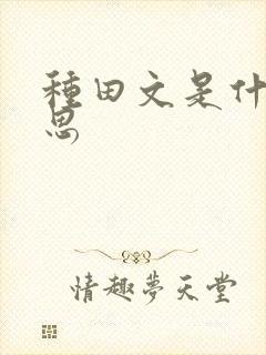 种田文是什么意思