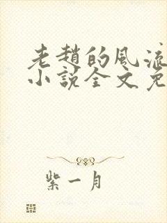 老赵的风流人生小说全文免费阅读