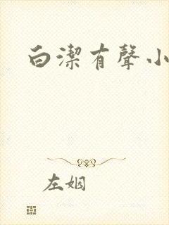 白洁有声小说