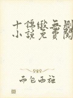 十锦缎无删原著小说免费阅读