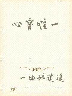 心宝唯一