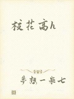 校花高h封面