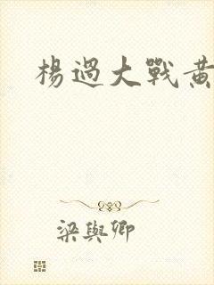 杨过大战黄蓉