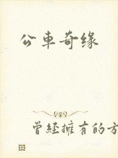公车奇缘