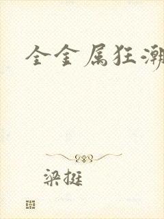 全金属狂潮小说