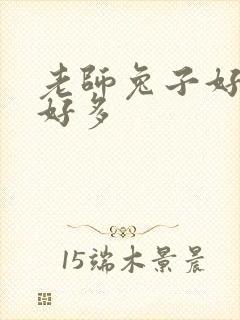 老师兔子好软水好多
