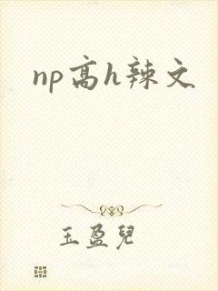 np高h辣文