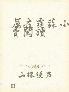 厉夜霆苏小汐免费阅读