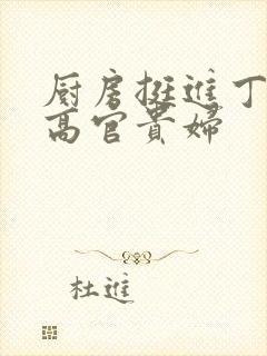 厨房挺进丁字裤高官贵妇