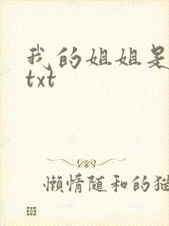我的姐姐是美女txt