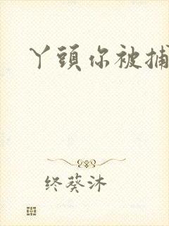 丫头你被捕了封面