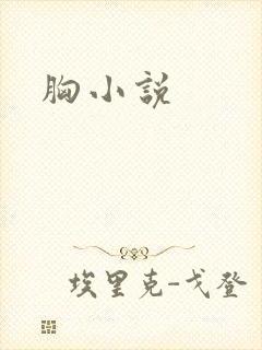胸小说