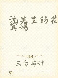 沈先生的花式调冥鸿
