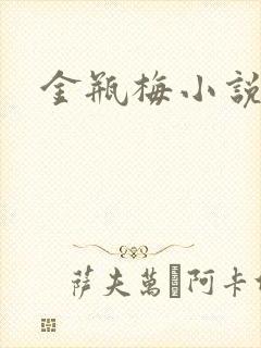 金瓶梅小说在线