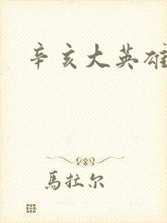 辛亥大英雄封面