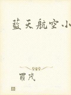 蓝天航空小说