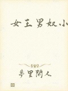 女王男奴小说