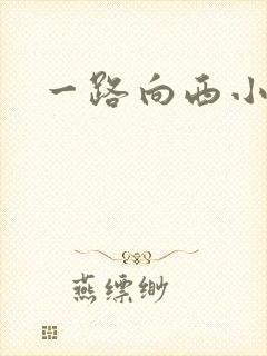 一路向西小说
