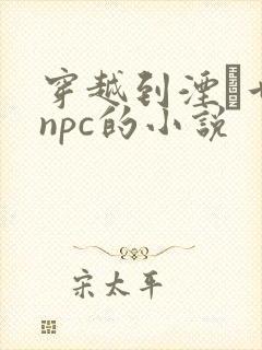 穿越到湮婸世界npc的小说封面
