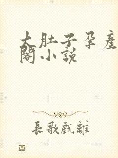 大肚子孕产笔趣阁小说封面