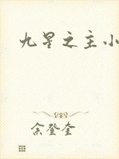 九星之主小说封面
