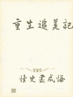 重生追美记2