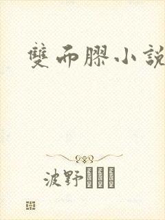 双面胶小说