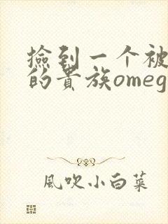 捡到一个被抹布的贵族omega封面