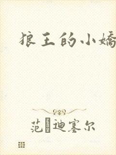 狼王的小娇妻