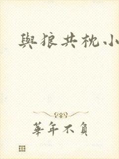 与狼共枕小说