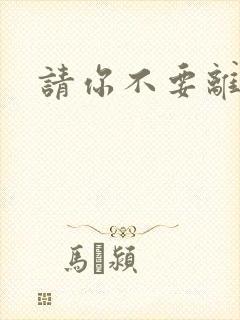 请你不要离开我