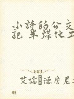小诗的公交车日记 半煤化工封面