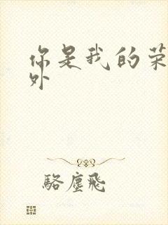你是我的荣耀番外