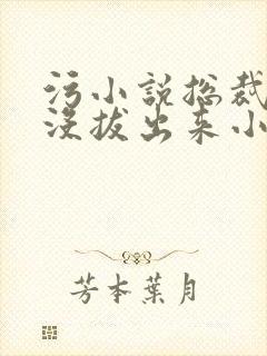 污小说总裁整夜没拔出来小说在线阅读封面