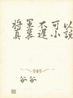将军不可以魏云真慕迟小说笔趣阁