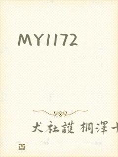 MY1172封面